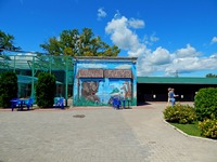 Самарский зоопарк фото