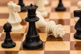 В Самаре состоится VI этап Кубка России по шахматам - «Мемориал Полугаевского»