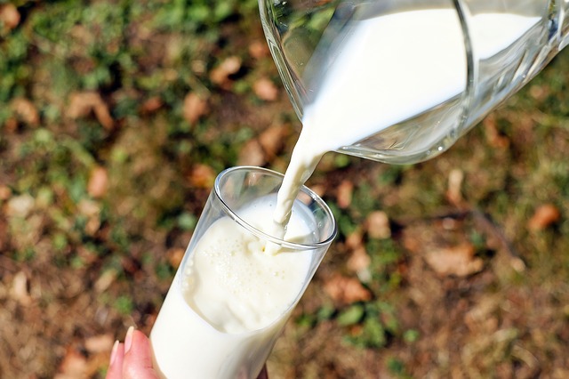 В Самарской испытательной лаборатории проверили качество коровьего молока