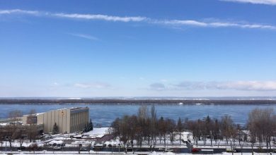 Погода в Самарской области