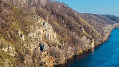 Погода в Самарской области