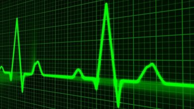 6 из 10 россиян готовы пройти проверку на детекторе лжи при приеме на работу