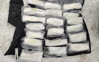 В Самарской области задержали наркокурьеров из Санкт-Петербурга