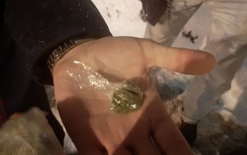 В Самарской области выявлено два факта незаконного оборота наркотиков