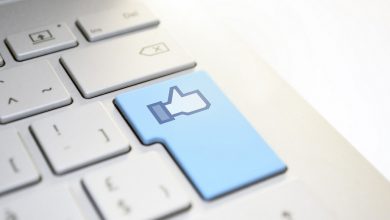 Фрилансеров привлекает к работе почти каждая третья компания