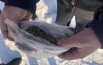 В Самарской области полицейские изъяли из незаконного оборота марихуану