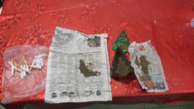 В отношении мужчины, вырастившего и хранившего коноплю, возбуждено уголовное дело