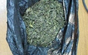 У жителя Новокуйбышевска изъято более 400 граммов марихуаны