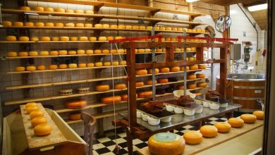 В Тольятти построят новый завод по производству сыров
