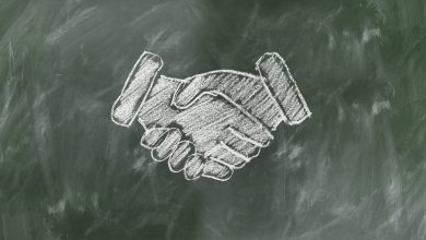 Представительство Жигулевской долины откроется в ШОС