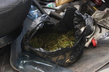 Исаклинские полицейские пресекли незаконный оборот наркотиков в крупном размере