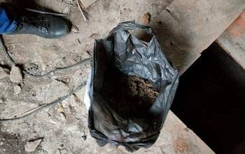 В гараже у жителя Самарской области нашли больше 220 граммов марихуаны