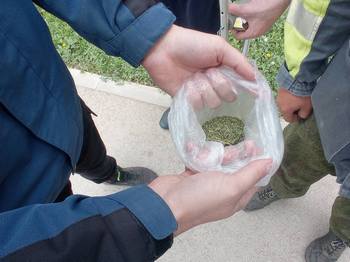 В Кинель-Черкасском районе задержали местного жителя с марихуаной в кармане