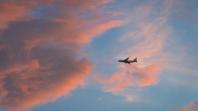 Как самарцам по закону можно делить 28 дней ежегодного отпуска