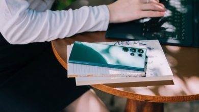 Более 360 безработных жителей региона стали предпринимателями в этом году
