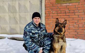 В Тольятти служебная собака помогла полицейским обезвредить подозреваемых в покушении на сбыт свыше 230 граммов героина