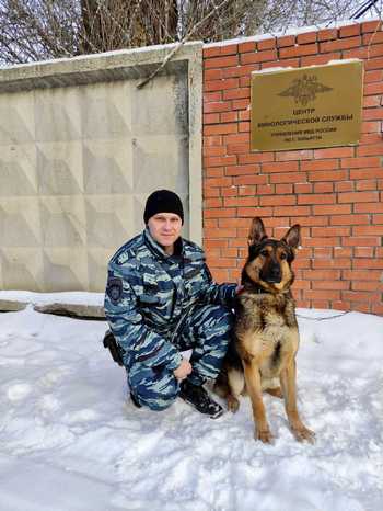 В Тольятти служебная собака помогла полицейским обезвредить подозреваемых в покушении на сбыт свыше 230 граммов героина