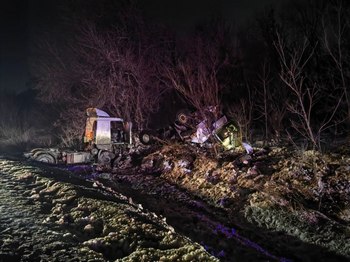 Трагедия на трассе: смертельная встреча водителя и лося в Новокуйбышевске