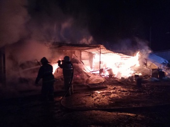 Горький след огня: подробности трагедии в Кинельском районе