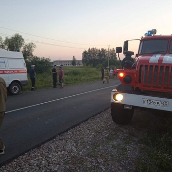 Женщина-велосипедист погибла в ДТП: подробности