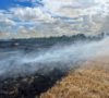 Огнеборцы успешно справились с пожаром в поле сельского поселения Васильевка