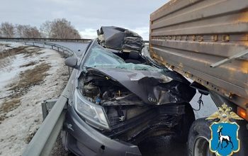 ДТП в Самарской области за сутки: сводка за 29 января 2025