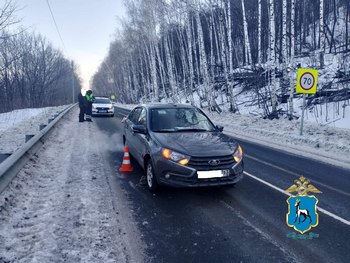 Косуля vs Лада Гранта: что произошло на автодороге М-5