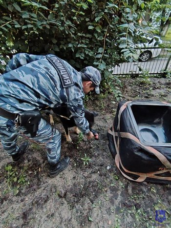 Операция «игрушечная угроза»: полицейские изучили предметы, которые оказались детскими игрушками