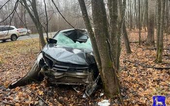 ДТП в Шенталинском районе: водитель LADA Granta наехал на лося и опрокинулся в кювет